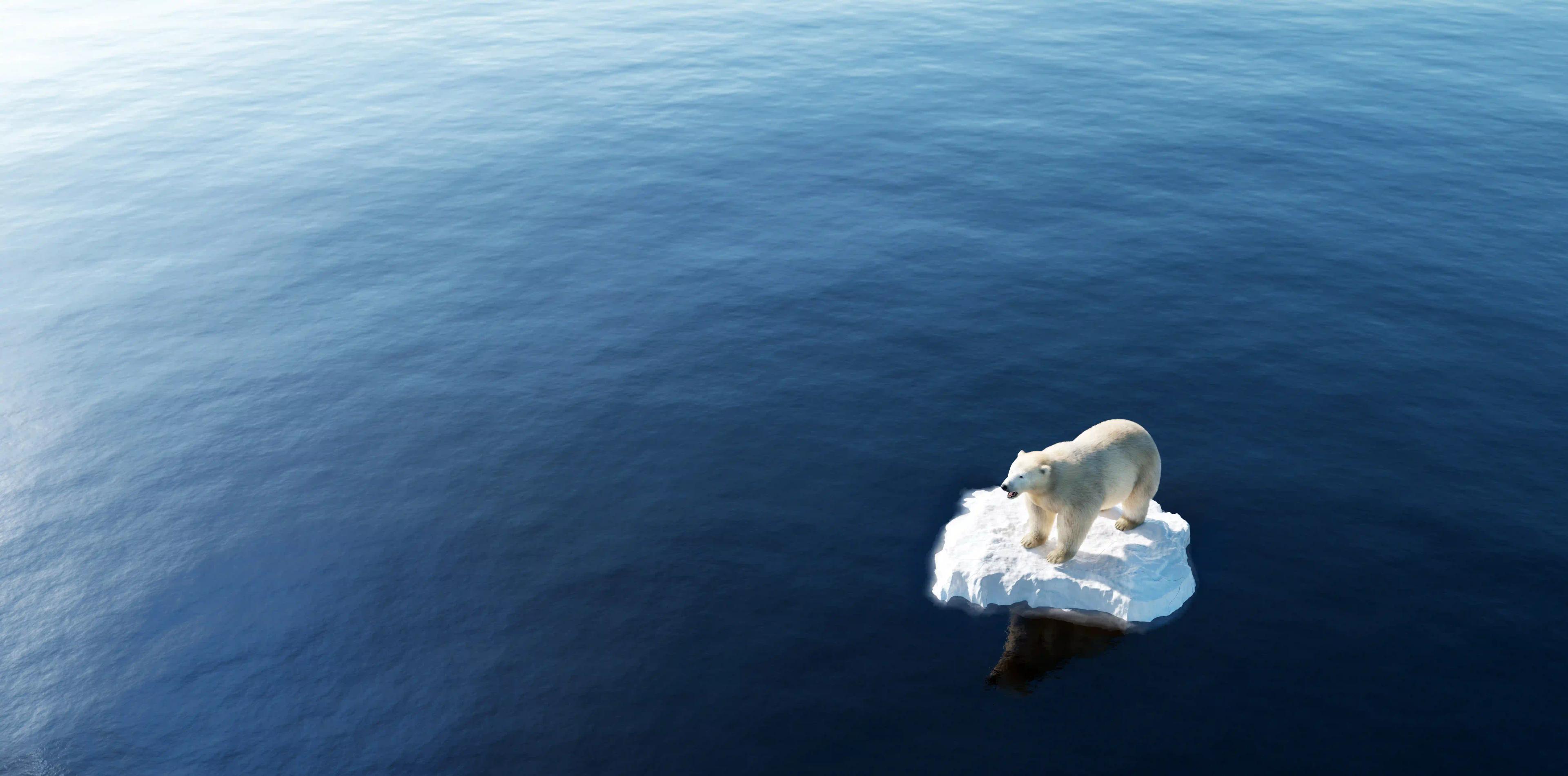 Climate